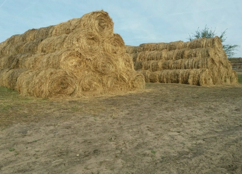 Купить Сено В Рязанском Районе