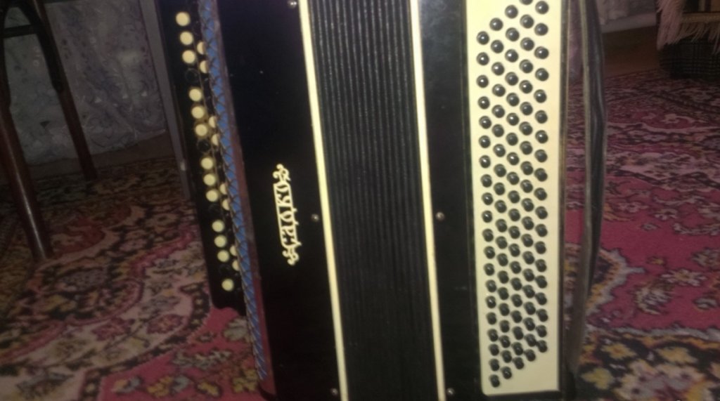 Баян москва. Садко и баян. Баян садко. Баяны рядные. Баян садко.