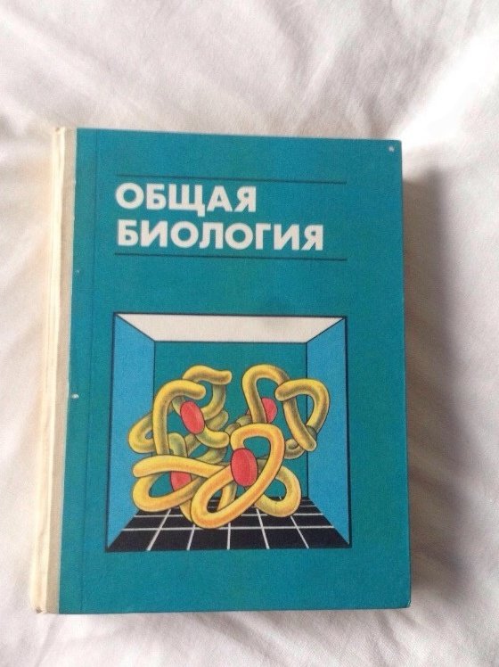 Учебник по индивидуальному проекту 10 класс