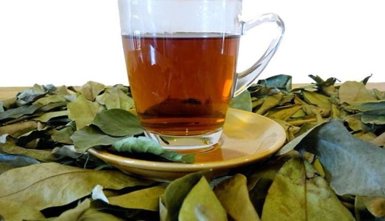 Продам в Фатике, Короссоль, Лечебный чай из Западной Африки Короссоль Corossol, Природное