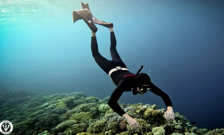 Обучение в городе Шарм-эль-Шейх, Нырни в подводный мир мир фридайвинга! Каждый человек