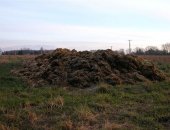 Продам удобрение в Можайске, Коровий навоз Руза-Коровий навоз в РузеКоровий навоз
