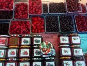 Продам ягоды в Туле, Доставка замороженных дикорастущих и садовых ягод