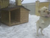 Продам в Нижнем Новгороде, Будки для собак, Изготовлю на заказ будки утепленные