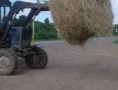 Продам корм для грызунов в Хабаровске, сено в рулонах 300-380 кг и мини рулонах
