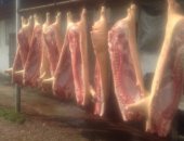Продам мясо в Краснодар, свинину живьем 120р кг, Резаным туша по 190 р кг, Смолю горелкой