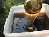 Продам крупы в Ростове-на-Дону, Гречишный мёд, Очень вкусно и полезно, свежий, 3 литра