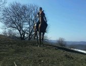 Продам лошадь в Грозном, Продается полу-кровка мае будет 2 года, Ножаюртовский район