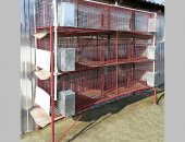 Продам корм для грызунов в Воронеже, Состоит из 6-ти автономных отсека с нипельным