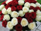 Продам комнатное растение в Городское Округе Саратове, Розы 25 шт 1500 рубБукет 51роза