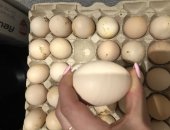 Продам яица, Свежее домашнее яйцо, крупное, Цена за ячейку, в ячейки три десятка 30 штук