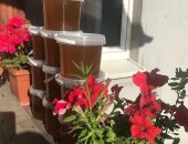 Продам мёд в Черняховске, цветочгый майский, цветочный, Соты с мёдом, 3л мёда -1200