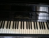 Продам пианино в Нижнем Новгороде, " Десна", В отличном состоянии, самовывоз