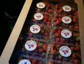 Продам ягоды в Москве, Клубника напрямую с огорода к вам на стол, От производителя