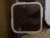 Продам мёд в Грозном, Продается майский натуральный любые проверки бачок 35кг, Цена 15т