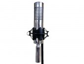 Продам микрофон в Уфе, Топовый ленточный RM BIV-3, Данная модель имеет в своём капсуле 2