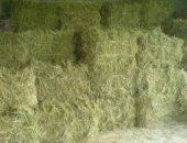 Продам корм для грызунов в Ясногорске, сено в рулонах размер катушки 1200 -1300 250