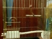 Продам в Ростове-на-Дону, клетку для средних и крупных попугаев, Размер 45см55см69см