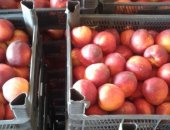 Продам овощи в Вологде, Арбузы, фрукты и, Оптом и в розницу по самым выгодным ценам