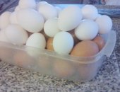 Продам яица в Гагине, кур с личного хозяйства от кур-молодок, самые полезные, В неделю