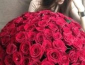 Продам комнатное растение в Краснодаре, 51 роза 55 см_2000 руб, 101 роза 55 см _4000 руб