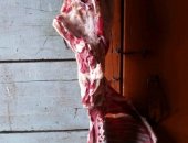 Продам мясо в Абакане, баранины, заказ за одни сутки подготовим разделанное доставка