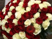 Продам комнатное растение в Краснодаре, Предлагаем цветы по оптовым ценам со склада Розы