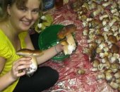 Продам грибы в Калаче, Предлагаю к продаже свежесобранный белый гриб и маслёнок под заказ