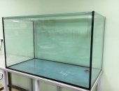 Продам рыбки в Шаховской, 1, Аквариум 120х70х60 см общим объемом 500 л, В комплекте к