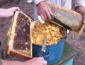 Продам мёд в Поспелихе, со своей пасеки, отличный со своей пасеки урожая 2018 года,