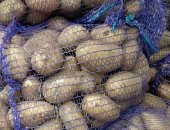 Продам овощи в Павловске, Картофель, крупный отборный картофель с личного участка с