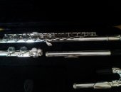 Продам флейту в Железногорске, Флейта посеребренная, Абсолютна новая флейта