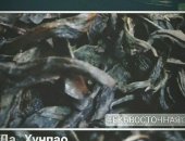 Продам в Екатеринбурге, Пpямые поcтaвки из Китая сильно ферментиpовaнных улунов: