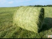 Продам корм для грызунов в Суворове, Сено, Продаётся сено луговое в катушках по 500
