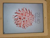Продам планшет Apple, 6.0, 3G, iOS в Новосибирске, iPad 32gbIpad работает без глюков