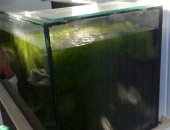 Продам в Шахты, Аквариум 200 литров, Не течет, по причине приобретения аквариума объемом