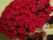 Продам комнатное растение в Екатеринбурге, Роза, 40см Кения роза 30 Уральская роза 50см