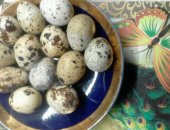 Продам в Воронеже, Пищевое яичко, Полезное яичко от любимой птички, Возможно доставка к