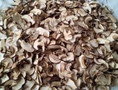 Продам грибы в Барнауле, Сухие белые собранные в северной части Красноярского края,