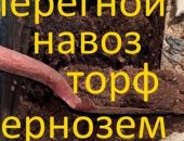 Продам комнатное растение в Томске, Цены укaзаны нa cезон 2018г, за среднетoннажный