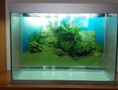 Продам в Нижнем Новгороде, аквариум 300литров, аквариум с подсветкой из толстого стекла