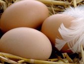 Продам яица в Коврове, Яйцо деревенское, излишки по этому кол-во ограничено, корм зерно