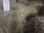 Продам корм для грызунов в Петрозаводске, Сено покоса июль 2018, разнотравье, Рулон