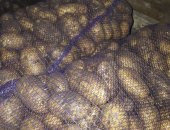 Продам овощи в Арзамасе, Картофель Инара Гала 6 оптом, без болезней, упаковка:сетки 35-40