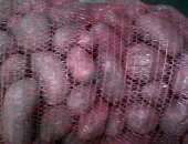 Продам овощи в Новоалтайске, Картофель розара, Доставка от 500 кг, СОРОЧИЙ Лог, Оптом