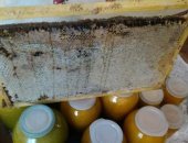 Продам мёд в Соликамске, натуральный брал у пчеловода с пасеки качество гарантирую