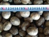 Продам овощи в Рязани, некрупный картофель