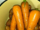 Продам овощи в Городеце, Морковь, морковь крупная сладкая, картофель желтый 10р кг