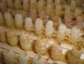 Продам мёд в Рыбное, Натуральное пчелиное маточное молочко, Маточное пчелиное молочко