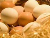 Продам яица в Ярославле, Деревенские, натуральные деревенские от собственных куриц